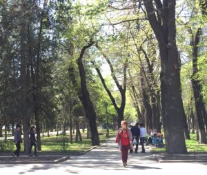 Springtime in Kyrgyzstan 