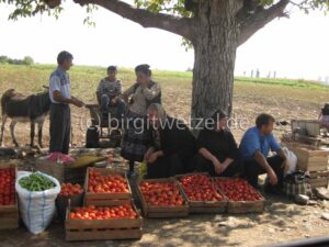 Tomatenverkauf an der Straße 